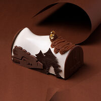 Bûche Pôle Express