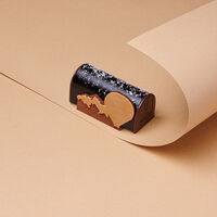 Bûchette Jules Verne