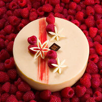 Framboisier 4 personnes