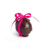 Poisson bulle 180g - chocolat blond