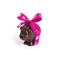 Vache 200g - chocolat lait